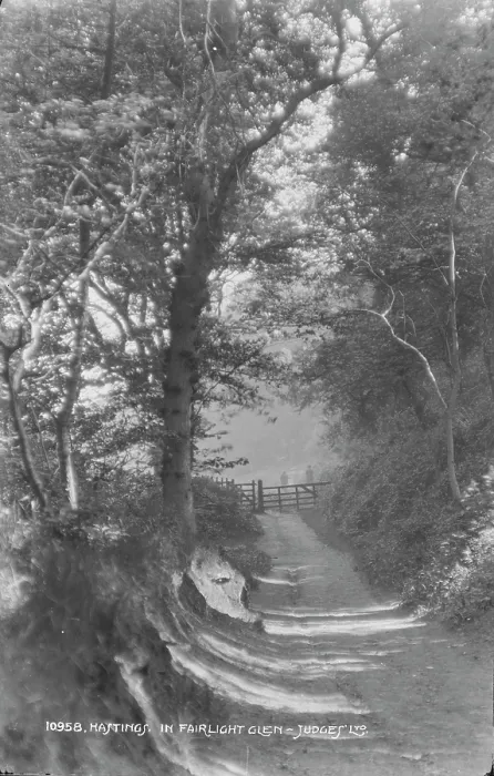 Framed Print : Pathway in Fairlight Glen
