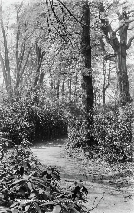 Framed Print : Pathway in Kenwood Woods Framed Print : Pathway in Kenwood Woods
