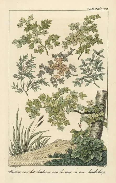 Framed Print : Pattern for embroidery of flowers in a landscape Framed Print : Pattern for embroidery of flowers in a landscape