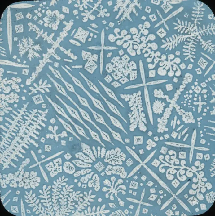 Framed Print : Patterns - Some resembling ice crystals Framed Print : Patterns - Some resembling ice crystals