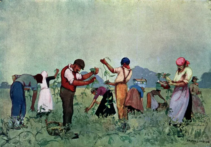Framed Print : The Pea-Pickers Framed Print : The Pea-Pickers