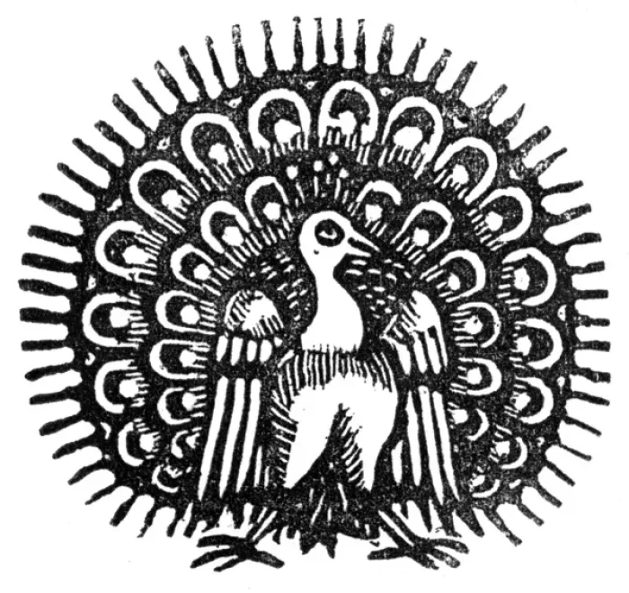 Framed Print : Peacock displaying, c.1700 Date: C.1700 Framed Print : Peacock displaying, c.1700 Date: C.1700