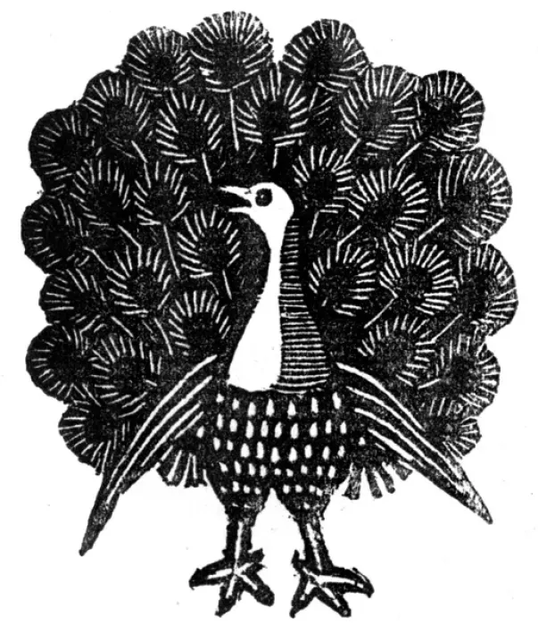 Framed Print : Peacock displaying
