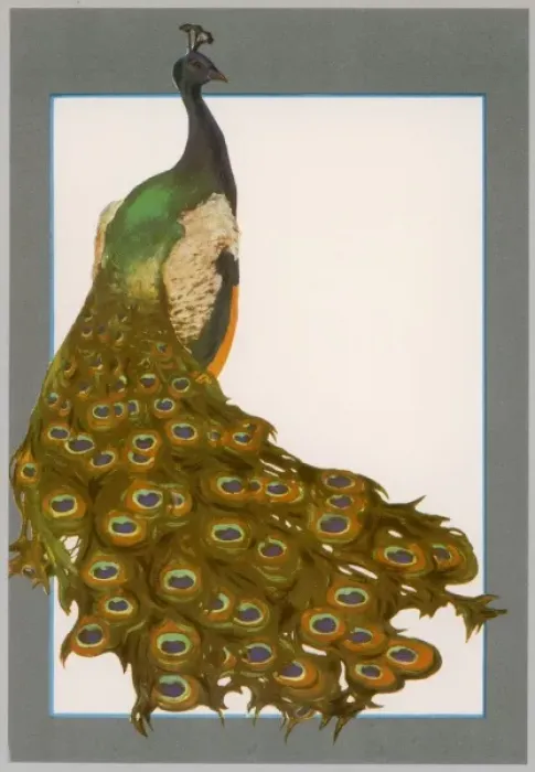 Framed Print : Peacock Trailing Framed Print : Peacock Trailing