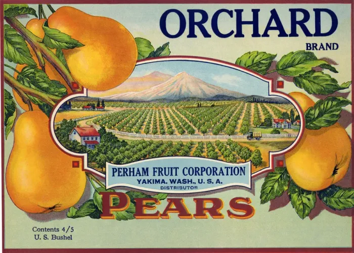Framed Print : Pear Label Framed Print : Pear Label