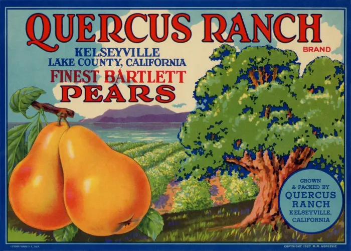 Framed Print : Pears and Farm Framed Print : Pears and Farm