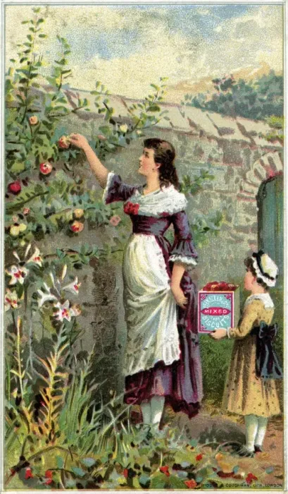 Framed Print : Peek Frean Biscuits advertising trade card - Picking Apples Framed Print : Peek Frean Biscuits advertising trade card - Picking Apples