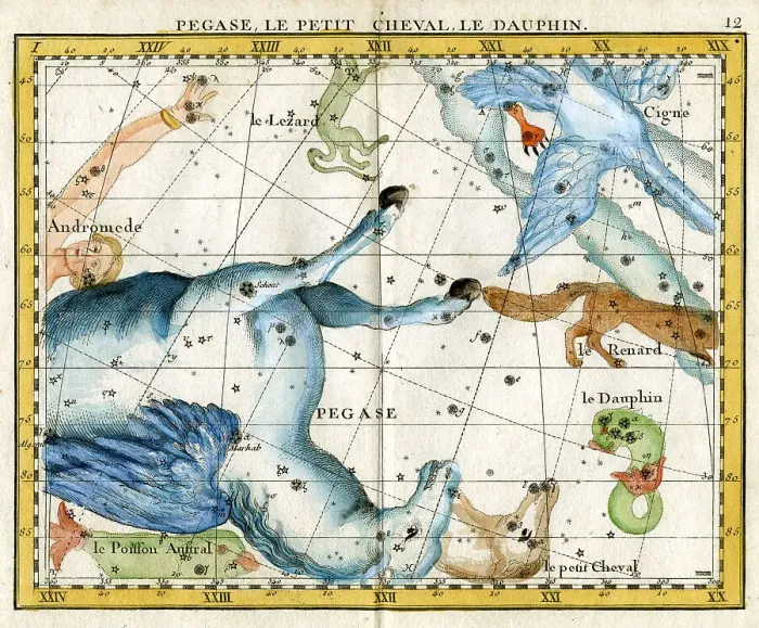 Framed Print : Pegasus, Little Horse, Dolphin Framed Print : Pegasus, Little Horse, Dolphin
