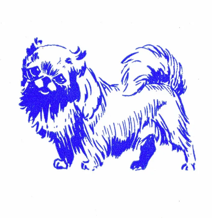 Framed Print : Pekingese dog - 1950s printer's block Framed Print : Pekingese dog - 1950s printer's block