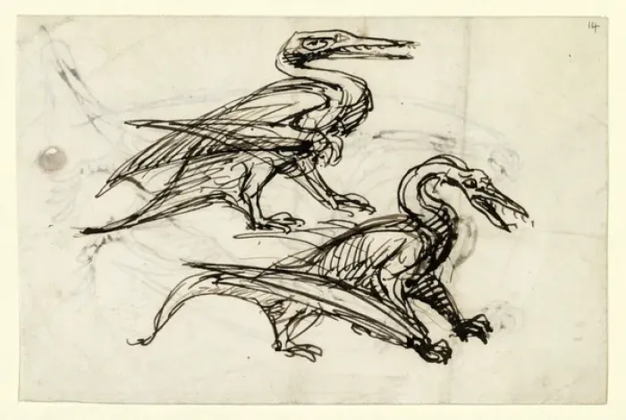 Framed Print : Pen & ink sketch of pterodactyl Framed Print : Pen & ink sketch of pterodactyl