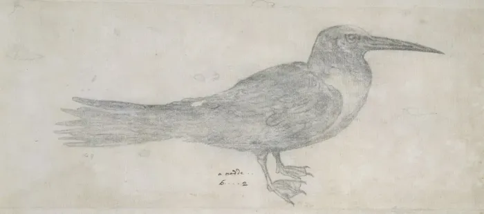 Framed Print : Noddy. A pencil sketch from the Drawings Collection of Thomas Malie (1726-42) Framed Print : Noddy. A pencil sketch from the Drawings Collection of Thomas Malie (1726-42)
