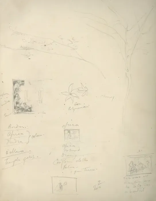Framed Print : Pencil sketch of a tree Framed Print : Pencil sketch of a tree