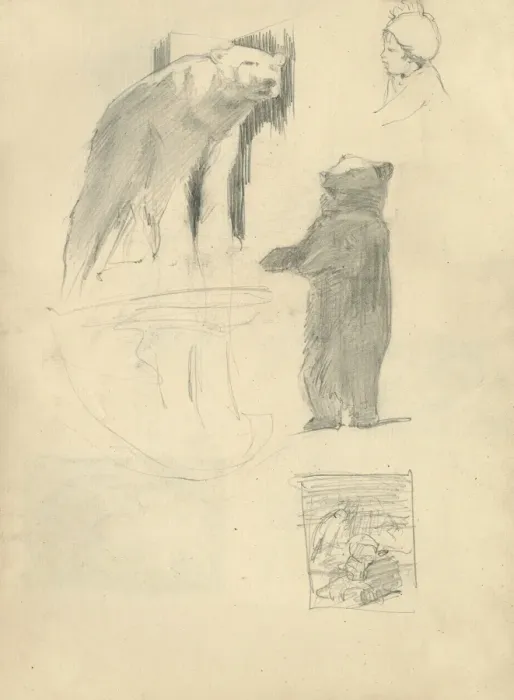 Framed Print : Pencil sketches of bears Framed Print : Pencil sketches of bears