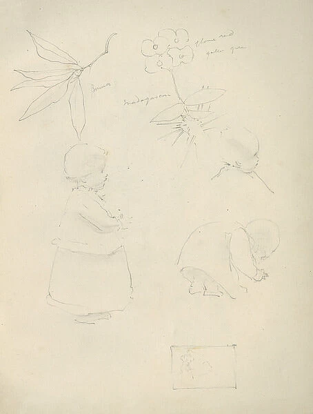 Pencil sketches of toddlers, flowers and leaves