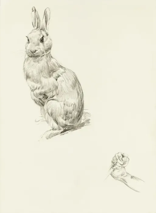 Framed Print : Pencil studies of a rabbit and grasping fist Framed Print : Pencil studies of a rabbit and grasping fist