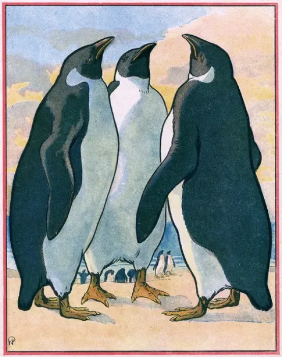 Framed Print : Penguins / Neziere Framed Print : Penguins / Neziere