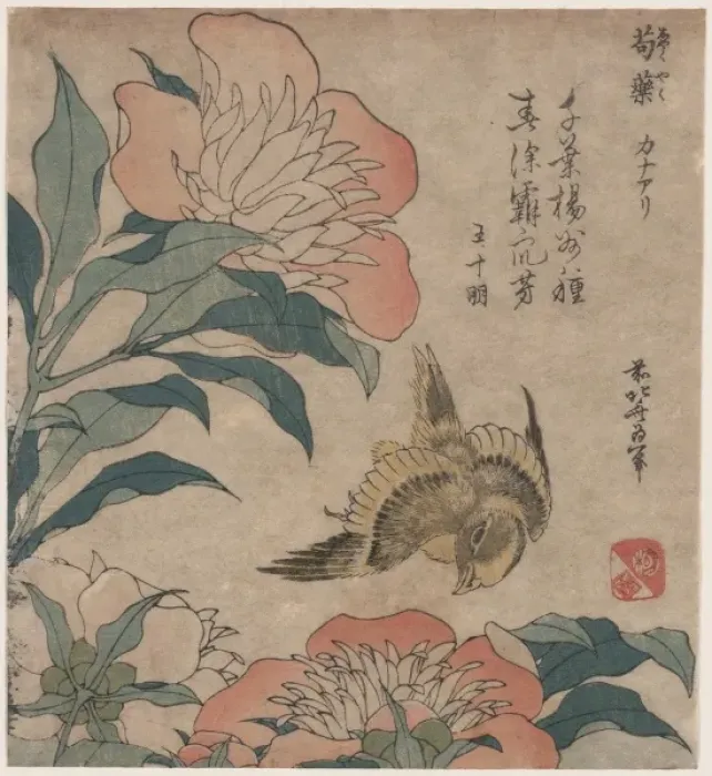 Framed Print : Peony and canary Framed Print : Peony and canary