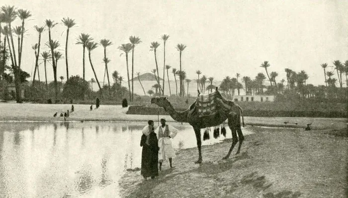 Framed Print : People with camel by the waterside, Sakkara, Egypt Framed Print : People with camel by the waterside, Sakkara, Egypt