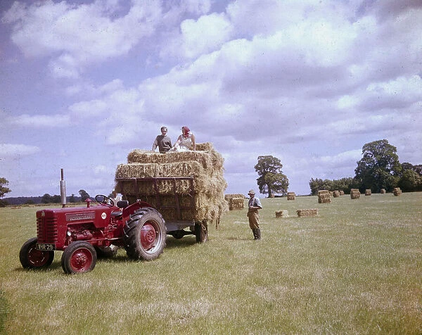 People in a field at harvest time with tractor