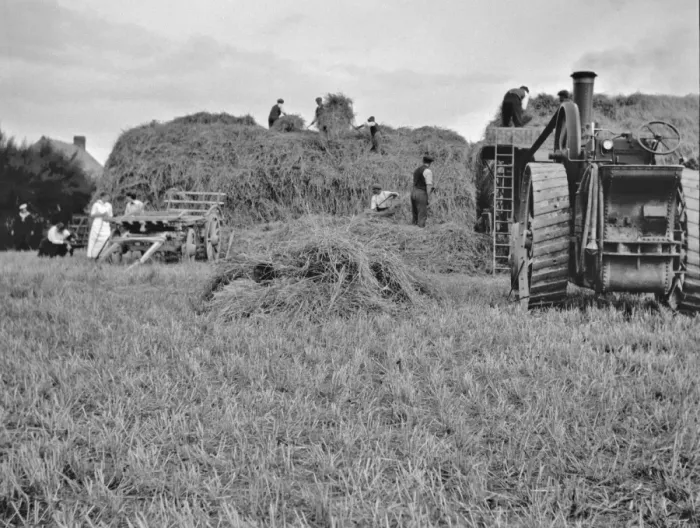Framed Print : People harvesting in a field Framed Print : People harvesting in a field