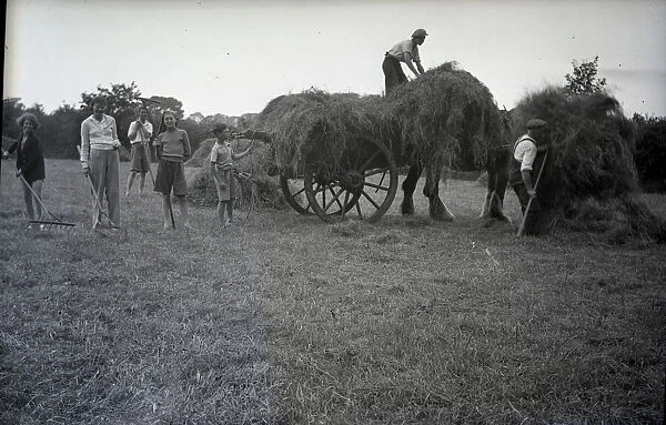 People haymaking