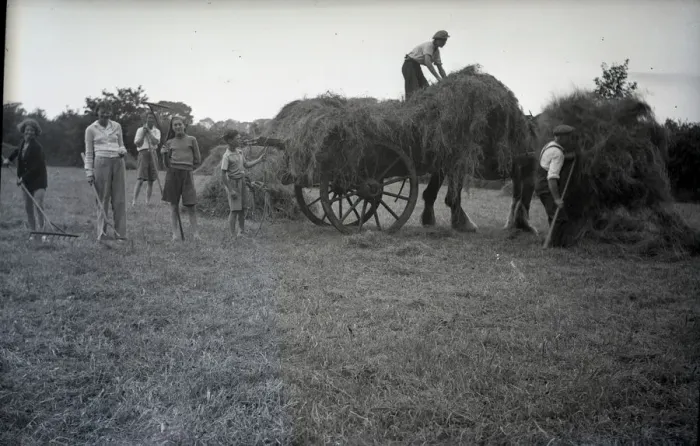 Framed Print : People haymaking Framed Print : People haymaking