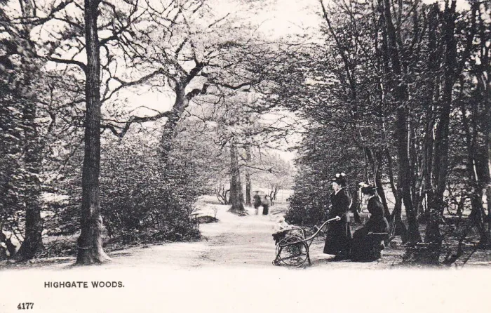 Framed Print : People in Highgate Woods, North London Framed Print : People in Highgate Woods, North London