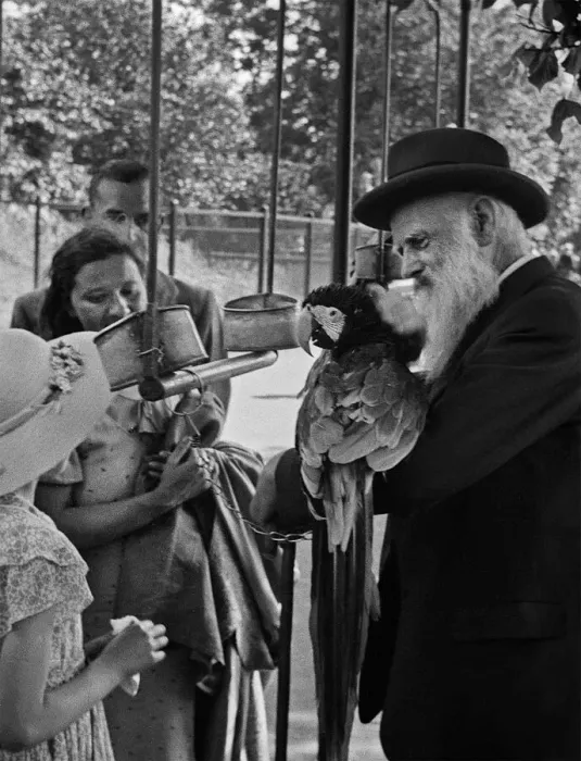 Framed Print : People and parrot at London Zoo Framed Print : People and parrot at London Zoo