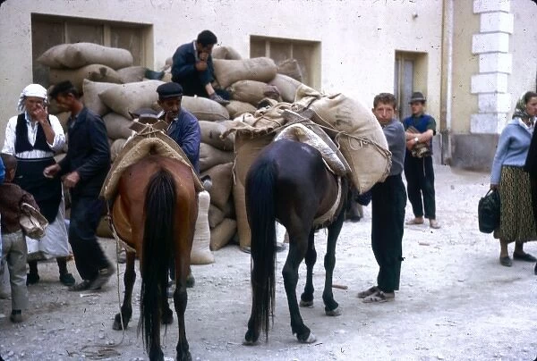 People with ponies and sacks, Yugoslavia