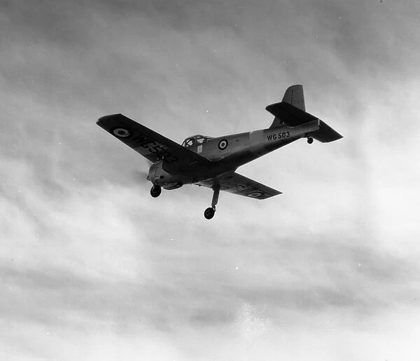 Percival P.56 Mk.II WG503