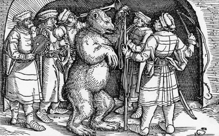 Framed Print : Performing Bear, Germany Framed Print : Performing Bear, Germany