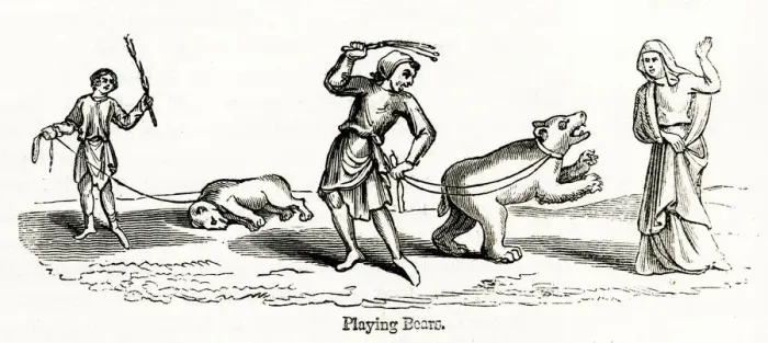 Framed Print : Performing Bears Framed Print : Performing Bears