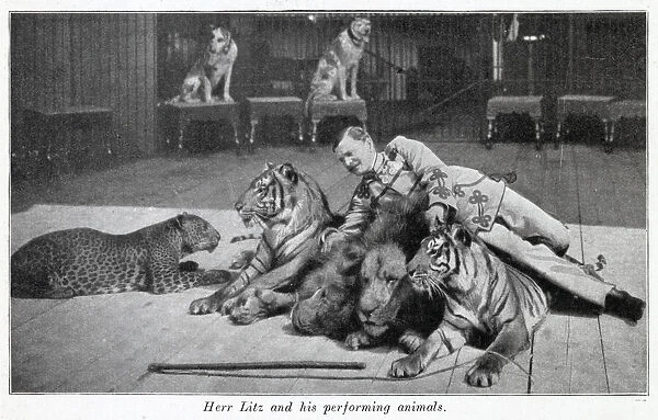 Performing cats 1903