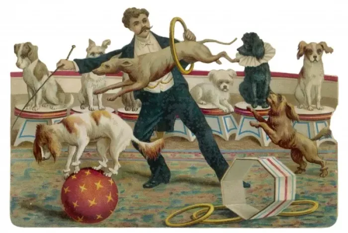 Framed Print : Performing Dogs, Paris Framed Print : Performing Dogs, Paris