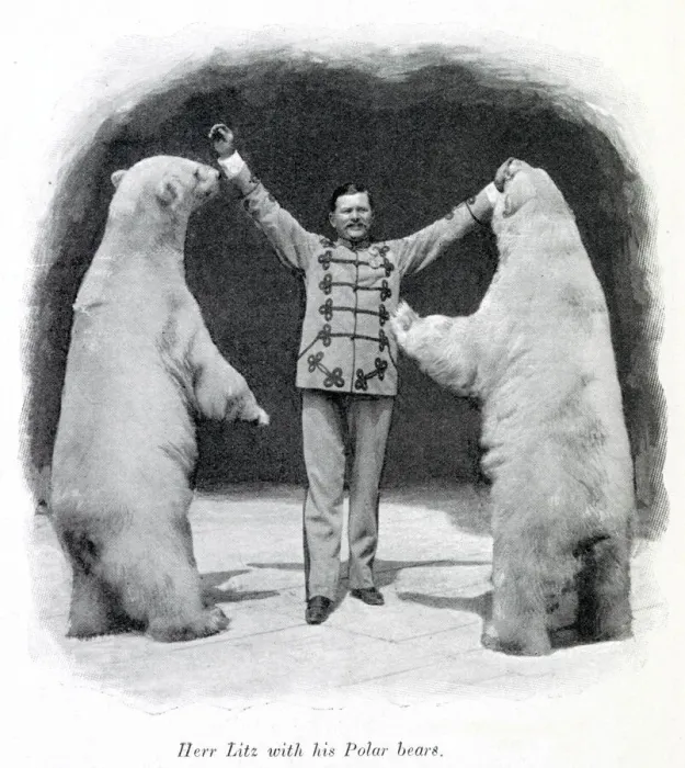 Framed Print : Performing polar bears 1903 Framed Print : Performing polar bears 1903