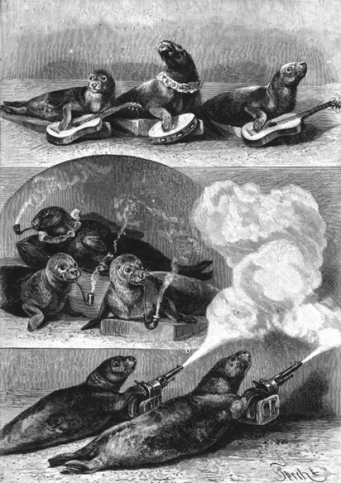 Framed Print : Performing seals at a circus, c. 1890 Framed Print : Performing seals at a circus, c. 1890