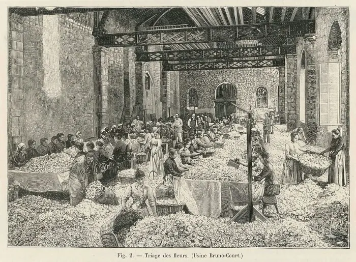 Framed Print : Perfume Manufacture / 1898 Framed Print : Perfume Manufacture / 1898