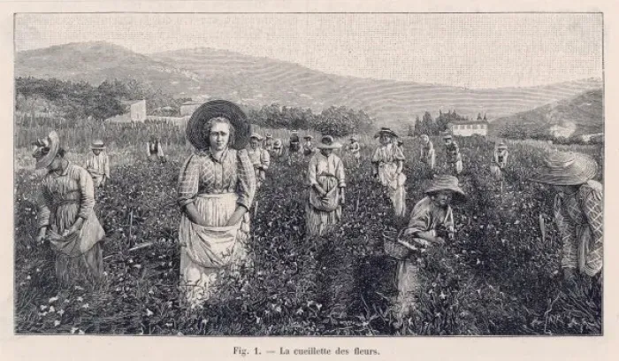 Framed Print : Perfume Manufacture / 1898 Framed Print : Perfume Manufacture / 1898