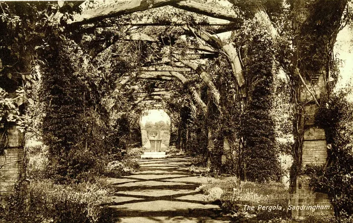 Framed Print : The Pergola, Sandringham, Norfolk Framed Print : The Pergola, Sandringham, Norfolk