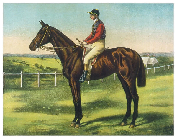 Persimmon (Racehorse)