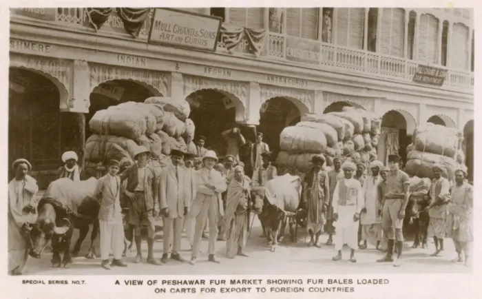 Framed Print : Peshawar Fur Market - with bales loaded on carts Framed Print : Peshawar Fur Market - with bales loaded on carts