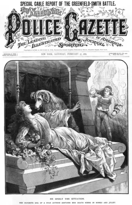 Framed Print : Pet dog interrupts Romeo and Juliet theatre production Framed Print : Pet dog interrupts Romeo and Juliet theatre production