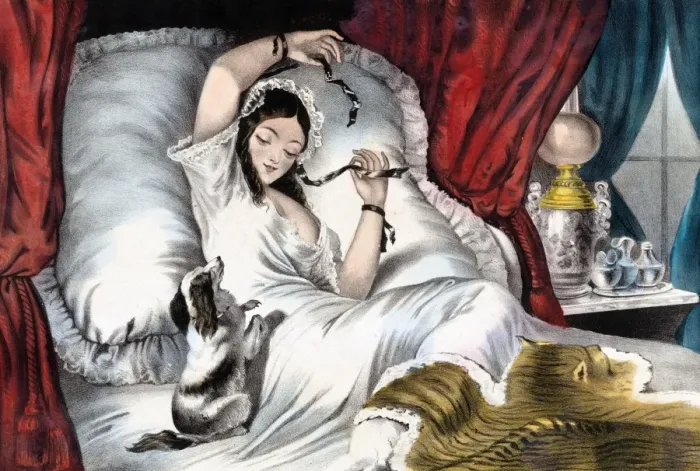 Framed Print : Pet dog waking woman in bed Framed Print : Pet dog waking woman in bed