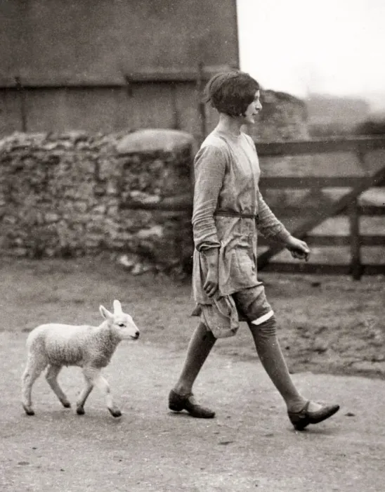 Framed Print : Pet lamb and girl on a farm in Oxfordhsire, 1930 s Framed Print : Pet lamb and girl on a farm in Oxfordhsire, 1930 s