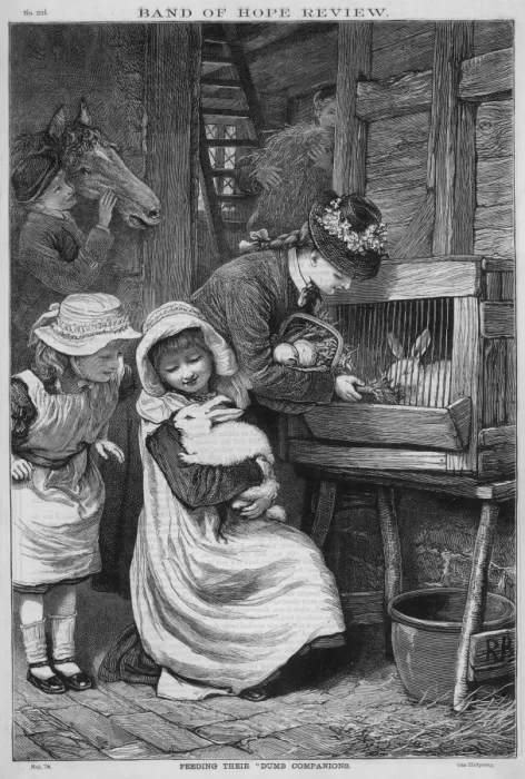 Framed Print : Pet Rabbits 1879 Framed Print : Pet Rabbits 1879