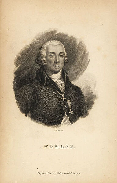 Peter Simon Pallas (1741-1811), German zoologist