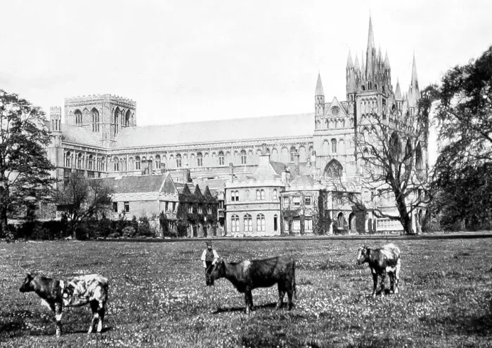 Framed Print : peterborough cathedral Framed Print : peterborough cathedral