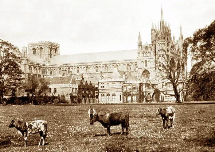 Framed Print : peterborough cathedral Framed Print : peterborough cathedral