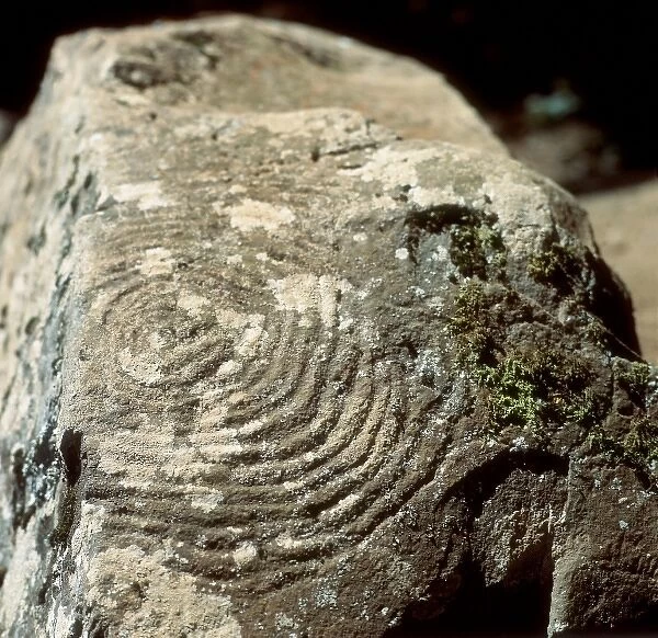 Petroglyph with geometric motifs