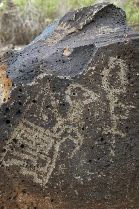 Framed Print : Petroglyph National Monument. Petroglyphs. New Mexico. USA Framed Print : Petroglyph National Monument. Petroglyphs. New Mexico. USA